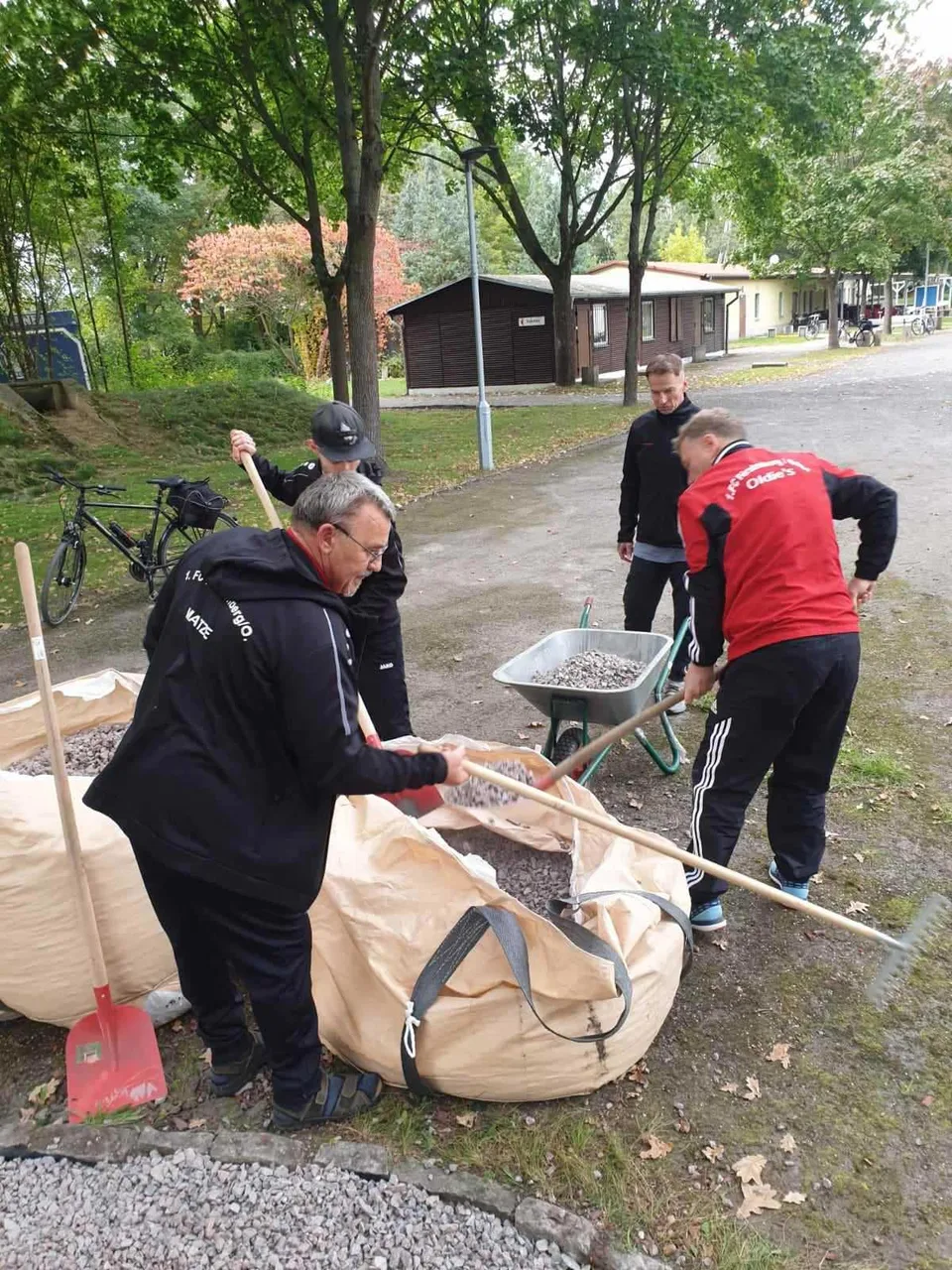 Pflege der Jahneiche im Stadion – Bild 4