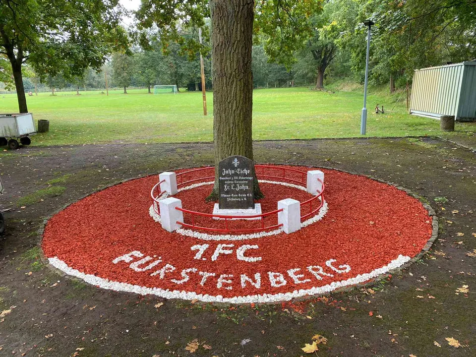 Pflege der Jahneiche im Stadion – Bild 2