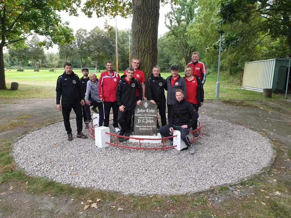 Pflege der Jahneiche im Stadion – Bild 3