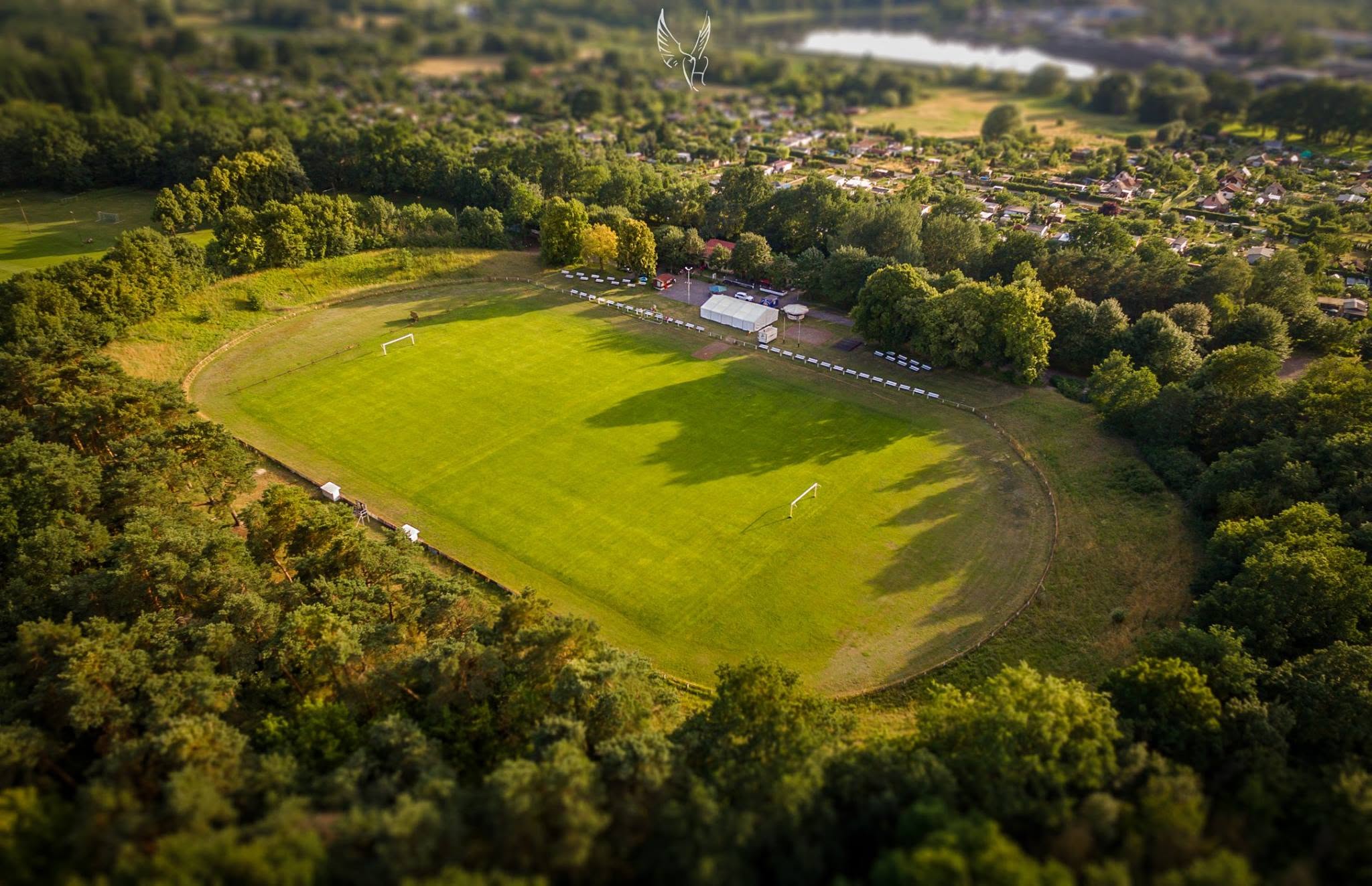 Luftaufnahme des Stadions Fürstenberg mit Rasenplatz und umliegenden Bäumen